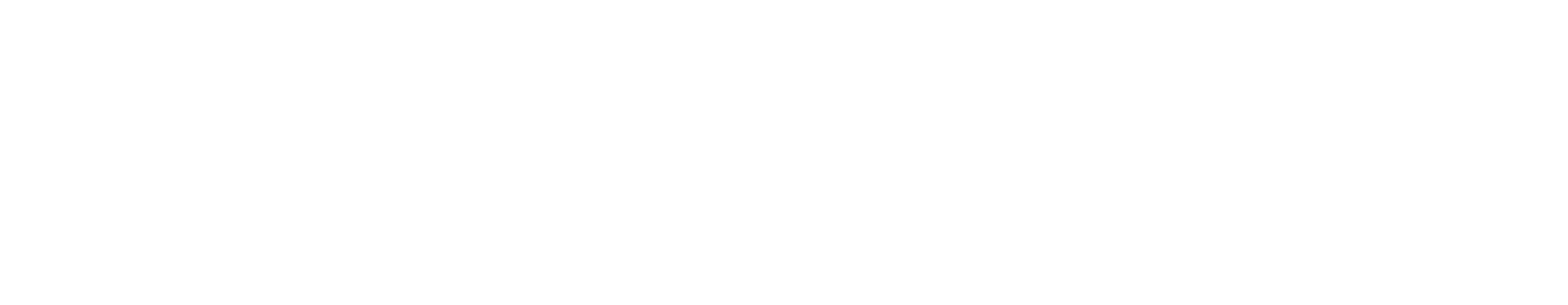 schneider national logo